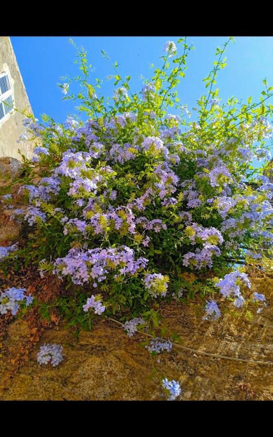 City Walls Sea View Corfu  Екстериор снимка